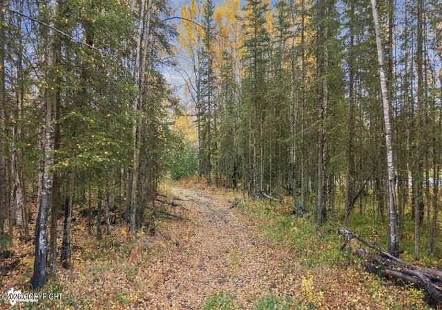 Photo 2 of Sale Pending at 39414 Flatstone Ct, Soldotna, AK 99669 | MLS# 26-12952 | Listing updated on 2026-10-13