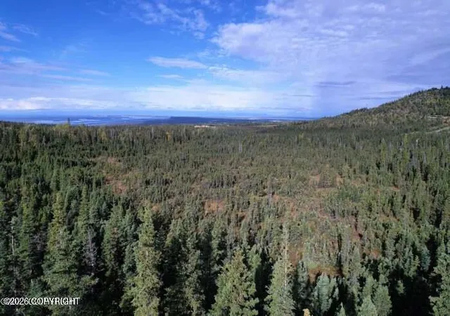 Land for sale at 15852 Carl St, Anchorage, AK 99516 | MLS# 26-12945