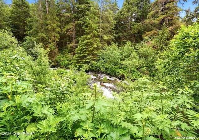 Photo 3 of Single family home for sale at 165 Virgin Crk Rd, Girdwood, AK 99587 | MLS# 26-12990 | Listing updated on 2026-10-15