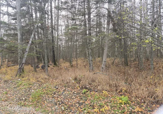 Photo 1 of Land for sale at 9280 S Overlook Dr, Wasilla, AK 99623 | MLS# 26-13104 | Listing updated on 2026-10-15