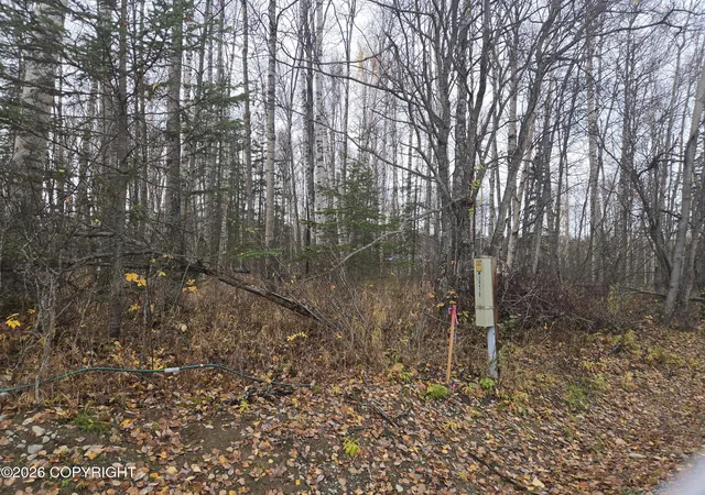 Photo 2 of Land for sale at 9280 S Overlook Dr, Wasilla, AK 99623 | MLS# 26-13104 | Listing updated on 2026-10-15
