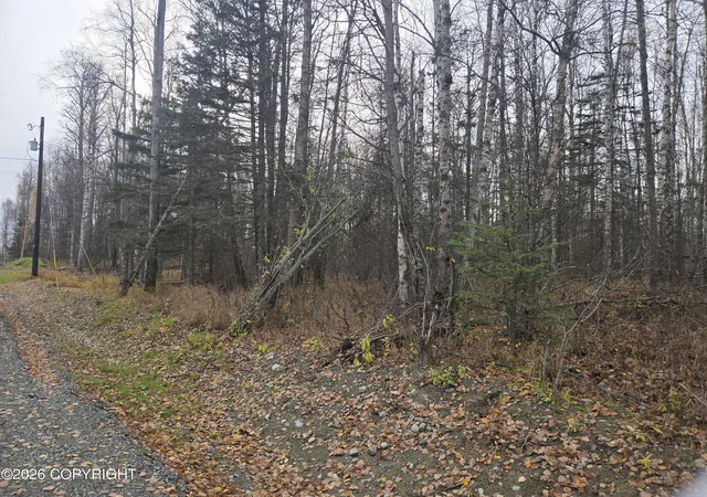 Photo 1 of Land for sale at 9310 S Overlook Dr, Wasilla, AK 99623 | MLS# 26-13106 | Listing updated on 2026-10-15