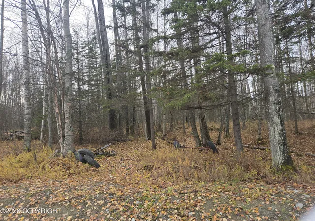 Photo 2 of Land for sale at 9310 S Overlook Dr, Wasilla, AK 99623 | MLS# 26-13106 | Listing updated on 2026-10-15