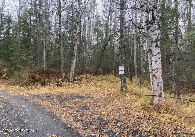 Photo 2 of Land for sale at Tract A Daisy Cir, Anchorage, AK 99507 | MLS# 26-13065 | Listing updated on 2026-10-13