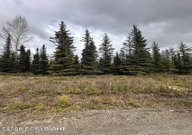 Photo 1 of Land for sale at 36915 Dutch Landing Loop, Sterling, AK 99672 | MLS# 26-13043 | Listing updated on 2026-10-13