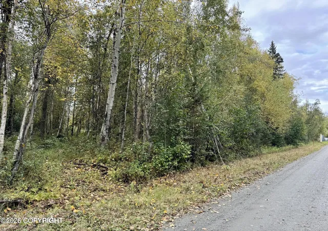 Photo 2 of Land for sale at 8593 S River Dr, Palmer, AK 99645 | MLS# 26-13086 | Listing updated on 2026-10-14