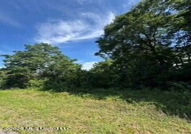 Photo 12 of Land for sale at 8 County Rd 16, Pachuta, MS 39347 | MLS# 144278 | Listing updated on 2026-09-04