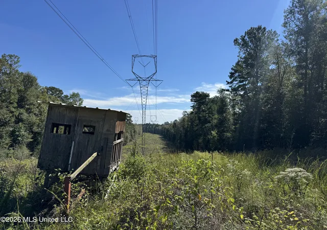 Photo 1 of Land for sale at Belle Gardner Rd, Amite, LA 70422 | MLS# 4122243 | Listing updated on 2026-10-09