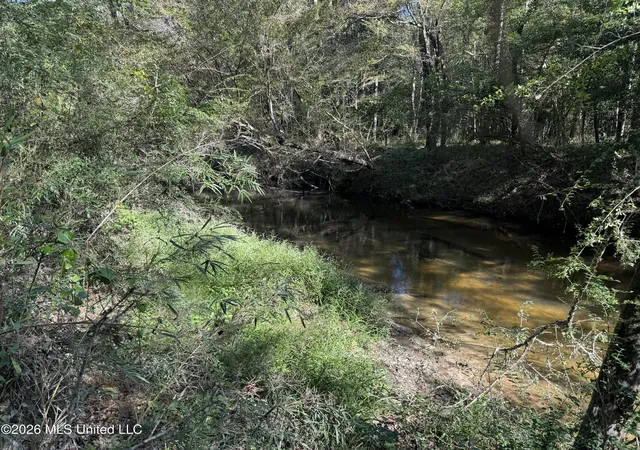 Photo 2 of Land for sale at Belle Gardner Rd, Amite, LA 70422 | MLS# 4122243 | Listing updated on 2026-10-09