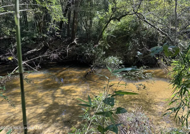 Photo 3 of Land for sale at Belle Gardner Rd, Amite, LA 70422 | MLS# 4122243 | Listing updated on 2026-10-09