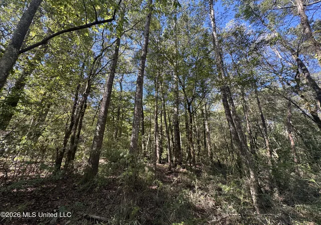Photo 4 of Land for sale at Belle Gardner Rd, Amite, LA 70422 | MLS# 4122243 | Listing updated on 2026-10-09