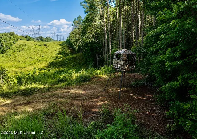 Photo 1 of Land for sale at Mississippi 9, Blue Springs, MS 38828 | MLS# 4144695 | Listing updated on 2026-09-02