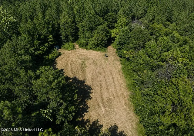 Photo 2 of Land for sale at Mississippi 9, Blue Springs, MS 38828 | MLS# 4144695 | Listing updated on 2026-09-02