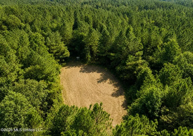 Photo 3 of Land for sale at Mississippi 9, Blue Springs, MS 38828 | MLS# 4144695 | Listing updated on 2026-09-02