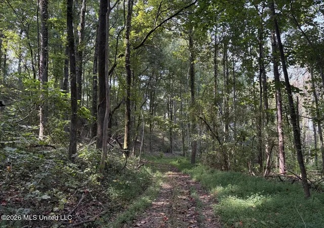 Photo 3 of Land for sale at Mississippi 9, Blue Springs, MS 38828 | MLS# 4144695 | Listing updated on 2026-09-02