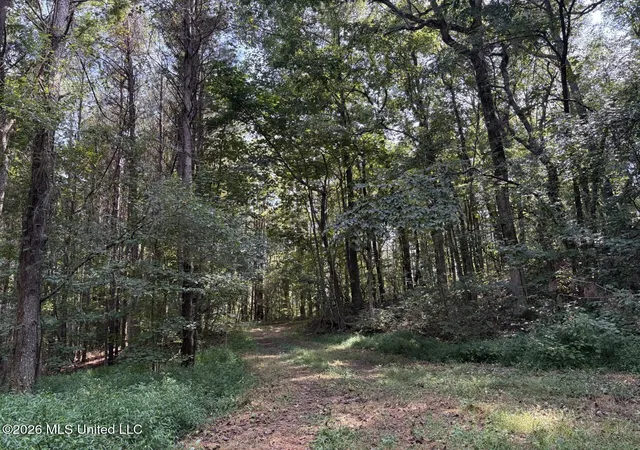 Photo 4 of Land for sale at Mississippi 9, Blue Springs, MS 38828 | MLS# 4144695 | Listing updated on 2026-09-02