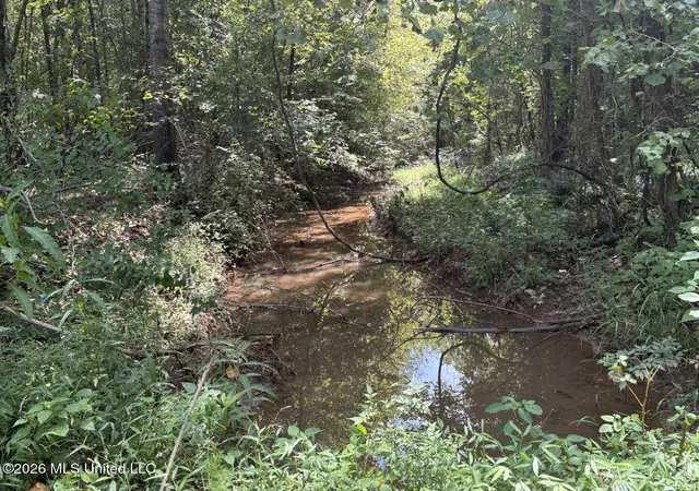 Photo 2 of Land for sale at Mississippi 41, Pontotoc, MS 38863 | MLS# 4144762 | Listing updated on 2026-09-01
