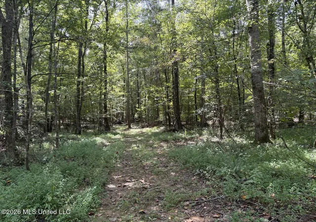 Photo 3 of Land for sale at Mississippi 41, Pontotoc, MS 38863 | MLS# 4144762 | Listing updated on 2026-09-01