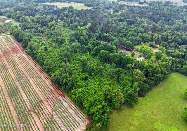 Photo 3 of Land for sale at Basin School Rd, Lucedale, MS 39452 | MLS# 4147990 | Listing updated on 2026-09-30