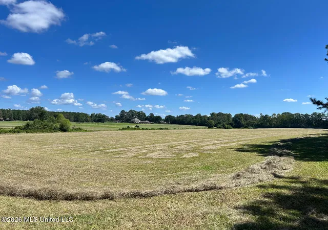 Photo 26 of Single family home for sale at 1261 Brumfield Rd Sw, Bogue Chitto, MS 39629 | MLS# 4148493 | Listing updated on 2026-09-09