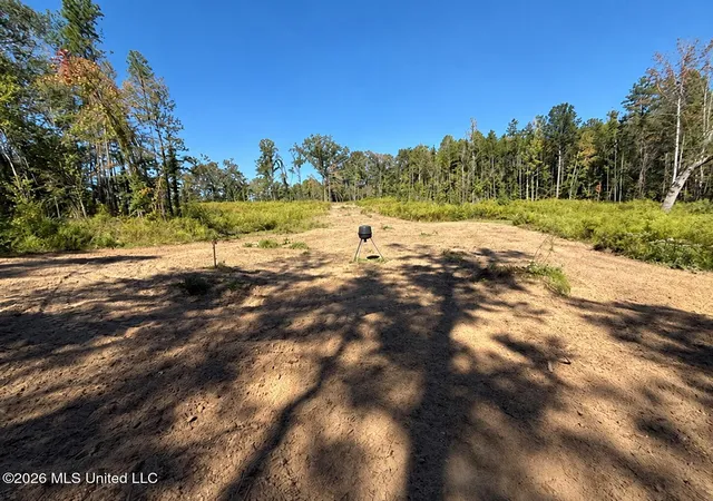Photo 1 of Land for sale at 0 Shrock Rd, Pickens, MS 39146 | MLS# 4151198 | Listing updated on 2026-10-09