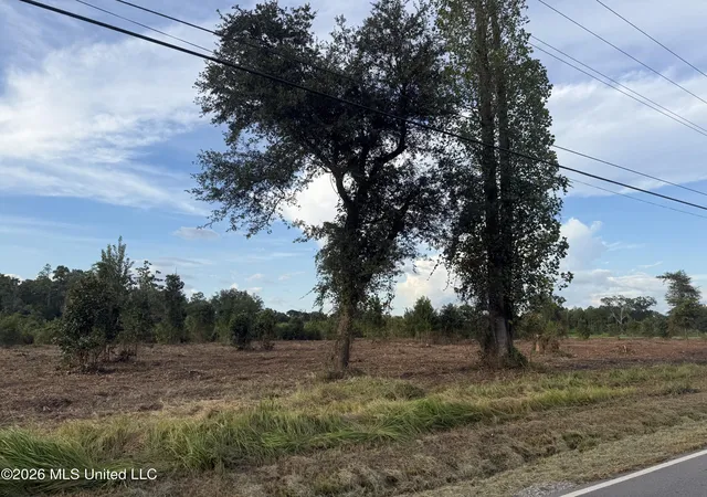Photo 3 of Sale Pending at Davis Sawmill Rd, Lucedale, MS 39452 | MLS# 4155020 | Listing updated on 2026-09-08