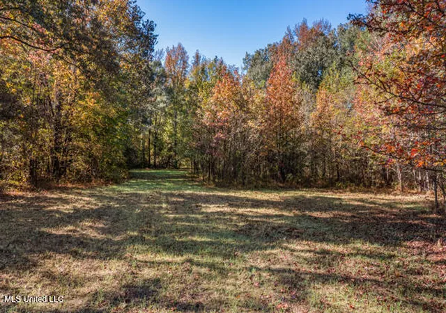 Photo 4 of Land for sale at 11880 Fairview Rd, Byhalia, MS 38611 | MLS# 4161742 | Listing updated on 2026-09-08