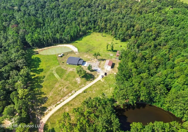 Photo 3 of Single family home for sale at 432 Paramount Church Rd, Perkinston, MS 39573 | MLS# 4158669 | Listing updated on 2026-09-01