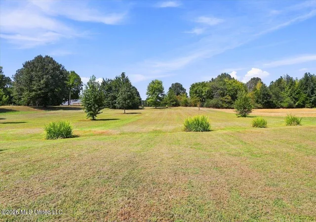 Photo 34 of Single family home for sale at 196 S Moore Xing, Byhalia, MS 38611 | MLS# 4161746 | Listing updated on 2026-09-14