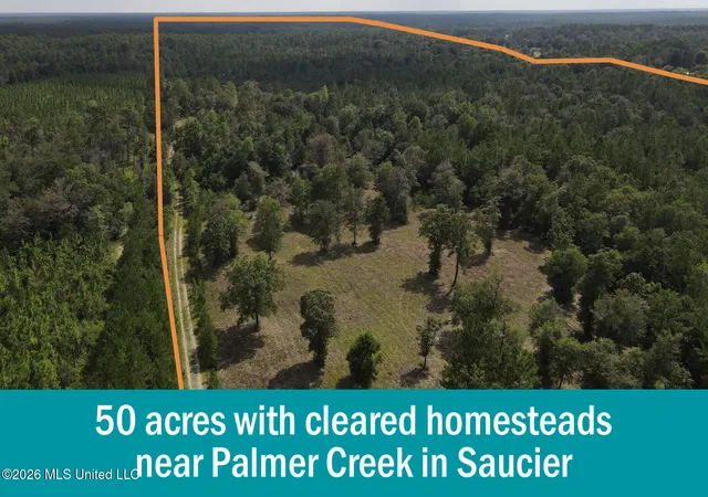 Photo 1 of Land for sale at 14481 E Wortham Rd, Saucier, MS 39574 | MLS# 4161092 | Listing updated on 2026-09-02