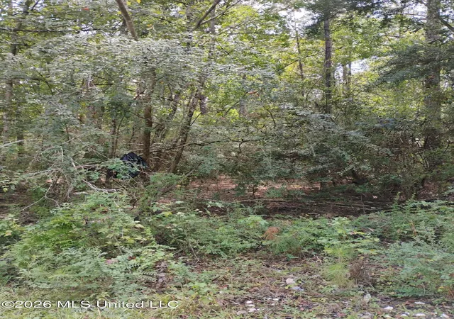 Photo 2 of Land for sale at 0 Hilda St, Gulfport, MS 39503 | MLS# 4160297 | Listing updated on 2026-09-02
