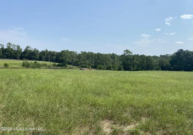 Photo 2 of Land for sale at Oak Dr, Perkinston, MS 39573 | MLS# 4162927 | Listing updated on 2026-09-18