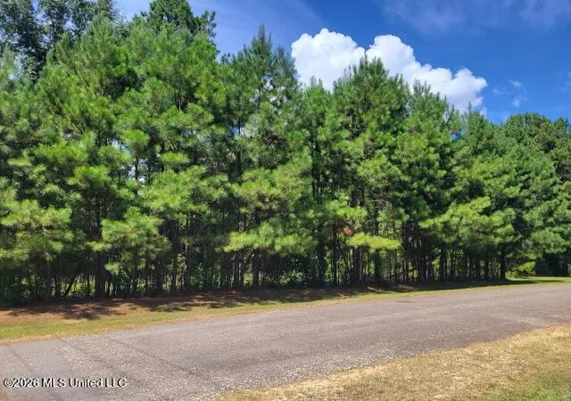 Photo 3 of Land for sale at Park, Mc Comb, MS 39648 | MLS# 4161332 | Listing updated on 2026-09-03