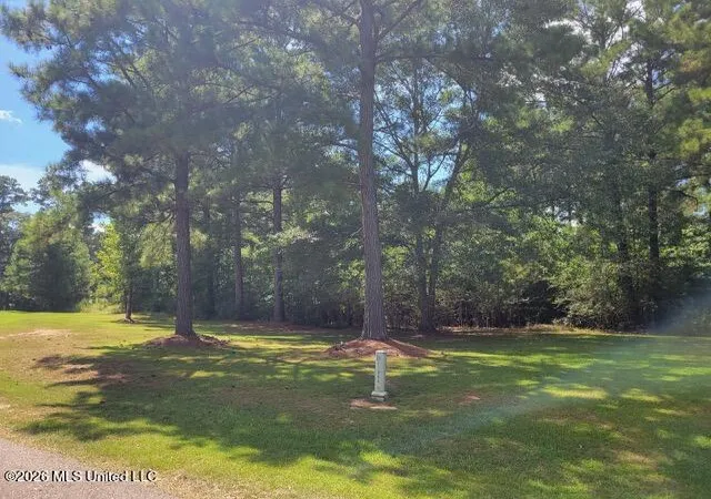 Photo 3 of Land for sale at Park, Mc Comb, MS 39648 | MLS# 4161332 | Listing updated on 2026-09-03
