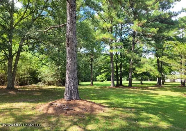 Photo 4 of Land for sale at Park, Mc Comb, MS 39648 | MLS# 4161332 | Listing updated on 2026-09-03