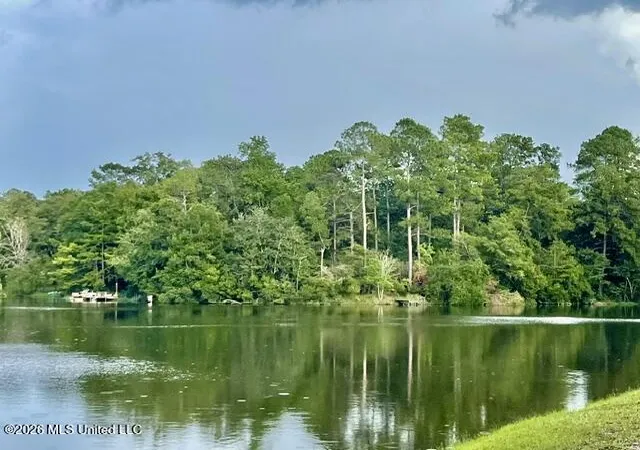 Land for sale at Flurry Dr, Perkinston, MS 39573 | MLS# 4161157