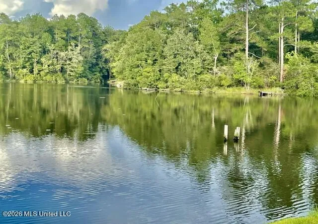 Photo 3 of Land for sale at Flurry Dr, Perkinston, MS 39573 | MLS# 4161157 | Listing updated on 2026-09-17