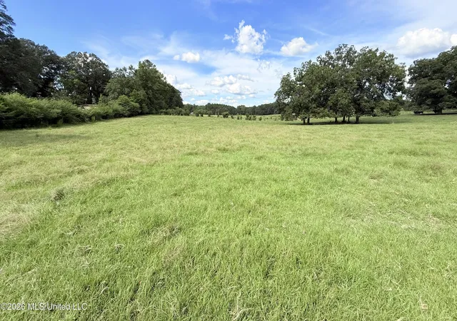 Photo 1 of Land for sale at Tbd 1 Montgomery Rd, Bogue Chitto, MS 39629 | MLS# 4161313 | Listing updated on 2026-09-03