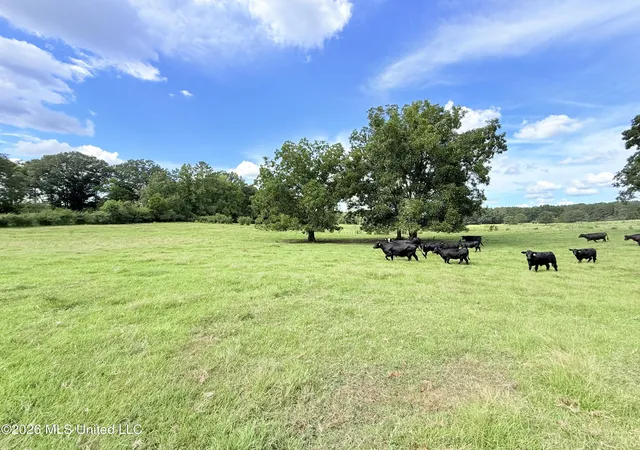 Photo 2 of Land for sale at Tbd 1 Montgomery Rd, Bogue Chitto, MS 39629 | MLS# 4161313 | Listing updated on 2026-09-03
