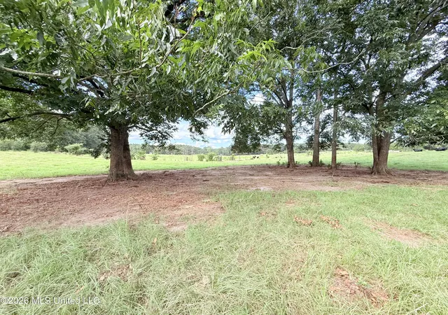 Photo 2 of Land for sale at Tbd 1 Montgomery Rd, Bogue Chitto, MS 39629 | MLS# 4161313 | Listing updated on 2026-09-03