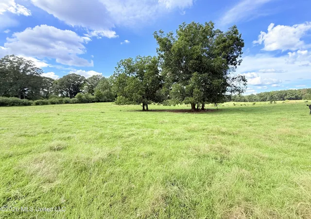 Photo 3 of Land for sale at Tbd 1 Montgomery Rd, Bogue Chitto, MS 39629 | MLS# 4161313 | Listing updated on 2026-09-03