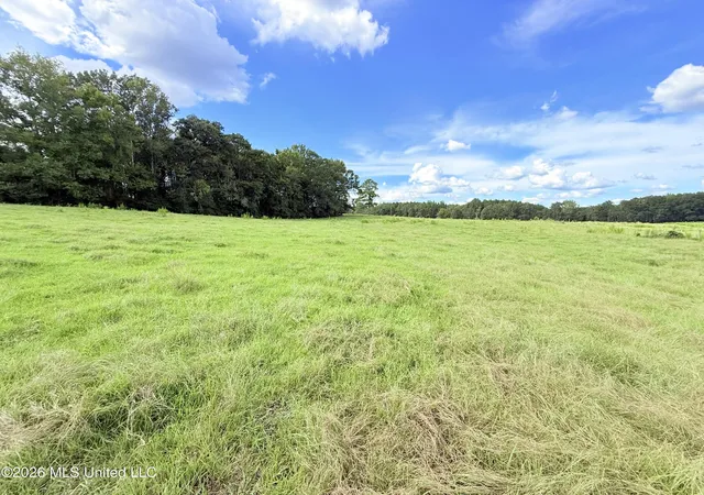 Photo 4 of Land for sale at Tbd 1 Montgomery Rd, Bogue Chitto, MS 39629 | MLS# 4161313 | Listing updated on 2026-09-03