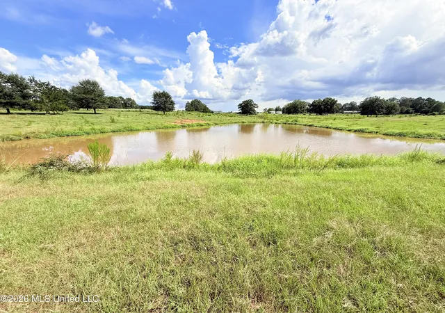 Photo 1 of Land for sale at Tbd 2 Montgomery Rd, Bogue Chitto, MS 39629 | MLS# 4161316 | Listing updated on 2026-09-03