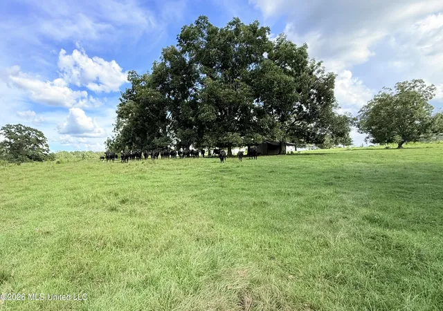 Photo 2 of Land for sale at Tbd 2 Montgomery Rd, Bogue Chitto, MS 39629 | MLS# 4161316 | Listing updated on 2026-09-03