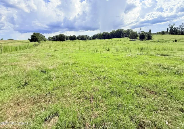 Photo 2 of Land for sale at Tbd 2 Montgomery Rd, Bogue Chitto, MS 39629 | MLS# 4161316 | Listing updated on 2026-09-03