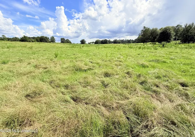 Photo 3 of Land for sale at Tbd 2 Montgomery Rd, Bogue Chitto, MS 39629 | MLS# 4161316 | Listing updated on 2026-09-03