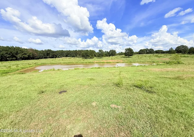 Photo 4 of Land for sale at Tbd 2 Montgomery Rd, Bogue Chitto, MS 39629 | MLS# 4161316 | Listing updated on 2026-09-03