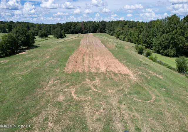Photo 2 of Land for sale at Tbd 3 Montgomery Rd, Bogue Chitto, MS 39629 | MLS# 4161318 | Listing updated on 2026-09-03