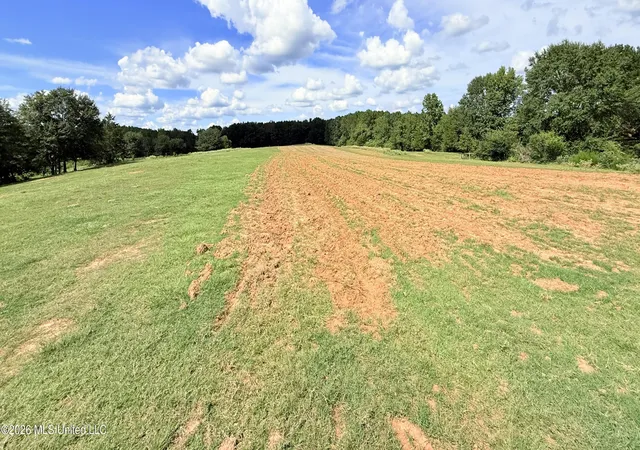 Photo 2 of Land for sale at Tbd 3 Montgomery Rd, Bogue Chitto, MS 39629 | MLS# 4161318 | Listing updated on 2026-09-03