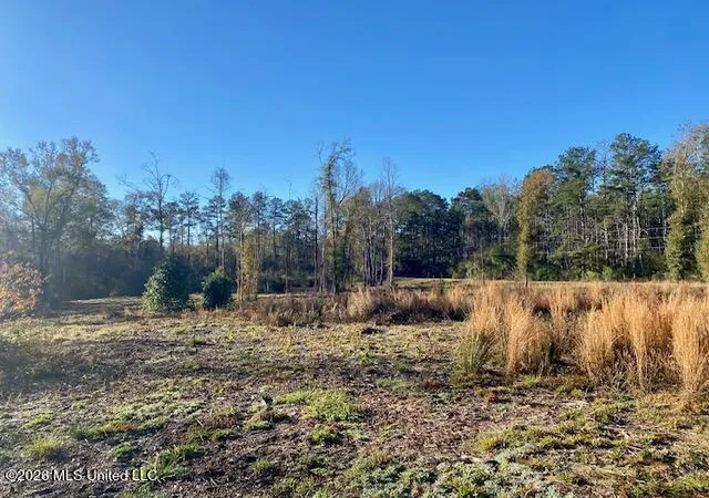 Land for sale at 1169 Ole Springs Rd, Summit, MS 39666 | MLS# 4161097
